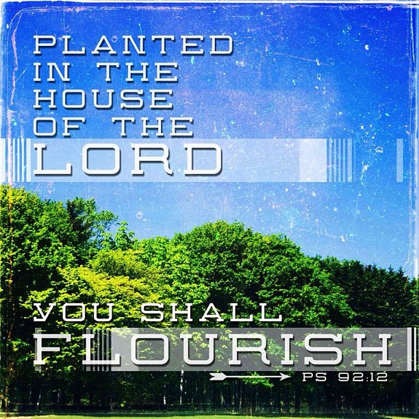 Plant Yourself