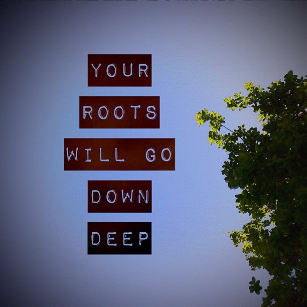Your Roots Will Grow