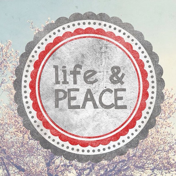Life And Peace