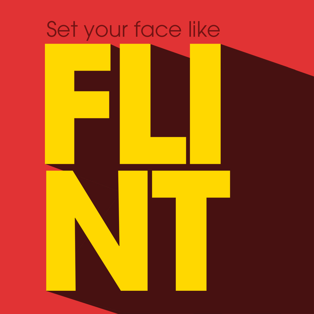 Face Like Flint