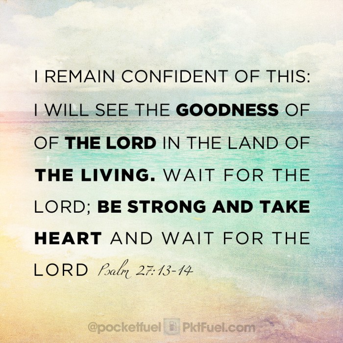 Ps 27 13 14 PktFuel ps-27-13-14-pktfuel