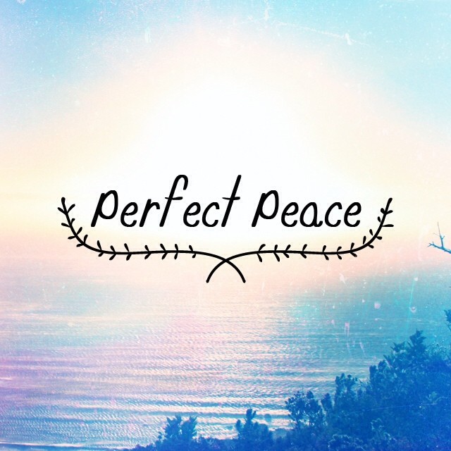 What has your focus?