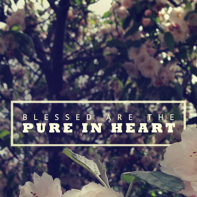 The Vision of Purity