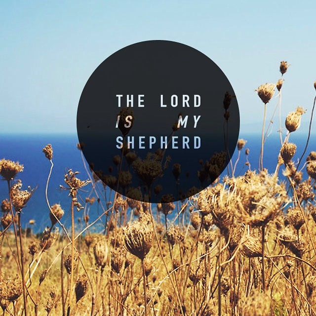 My Shepherd