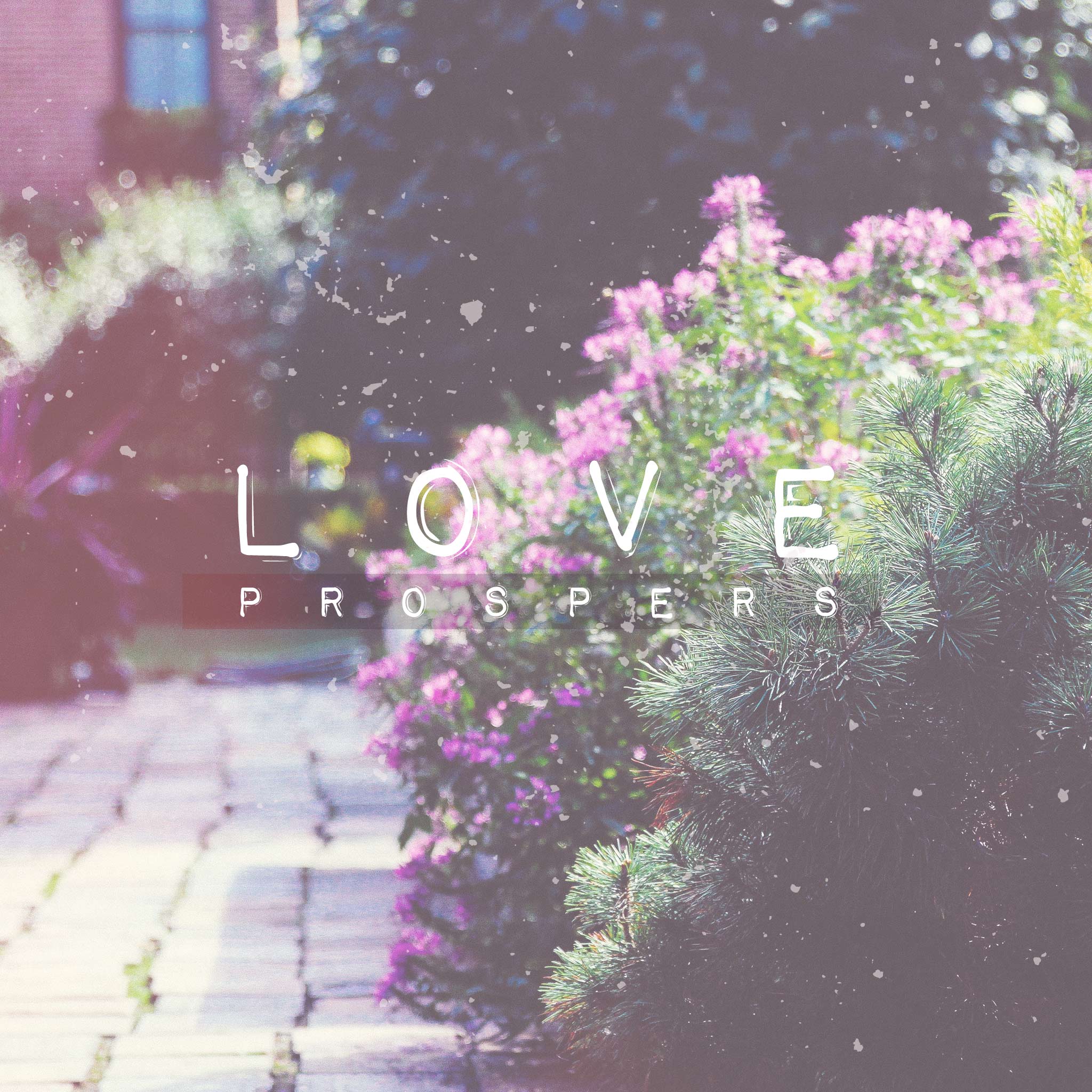 All you need is love…