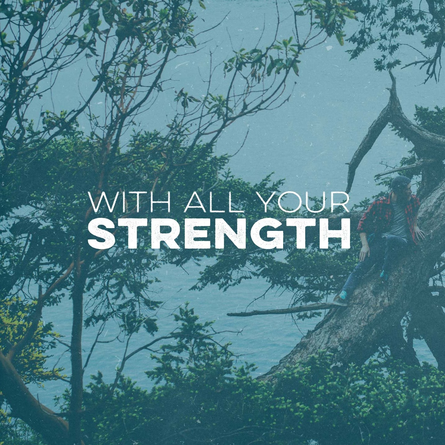 You are strong – Strength Series Part 1