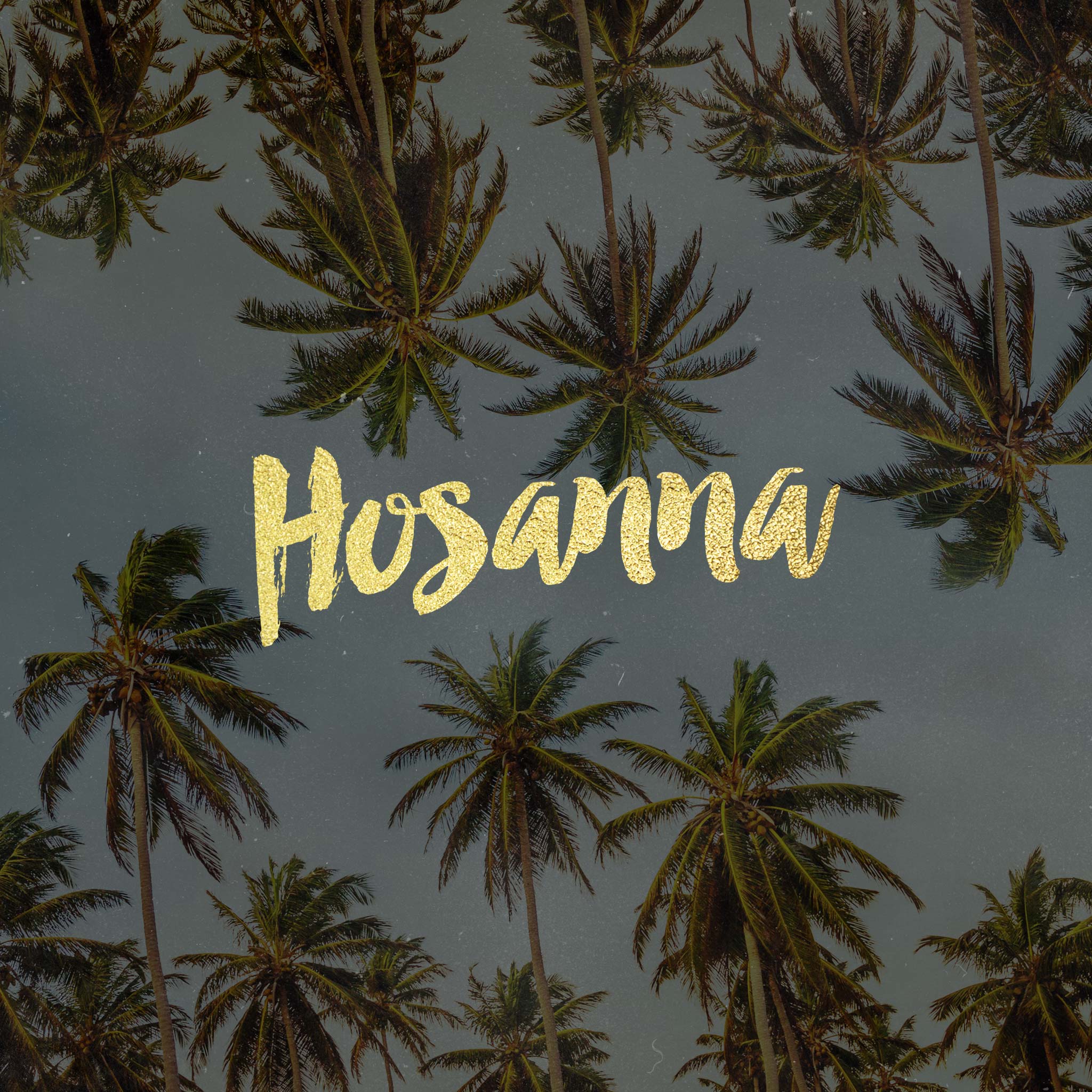 hosanna-to-our-king-easter-series-part-1-pocket-fuel