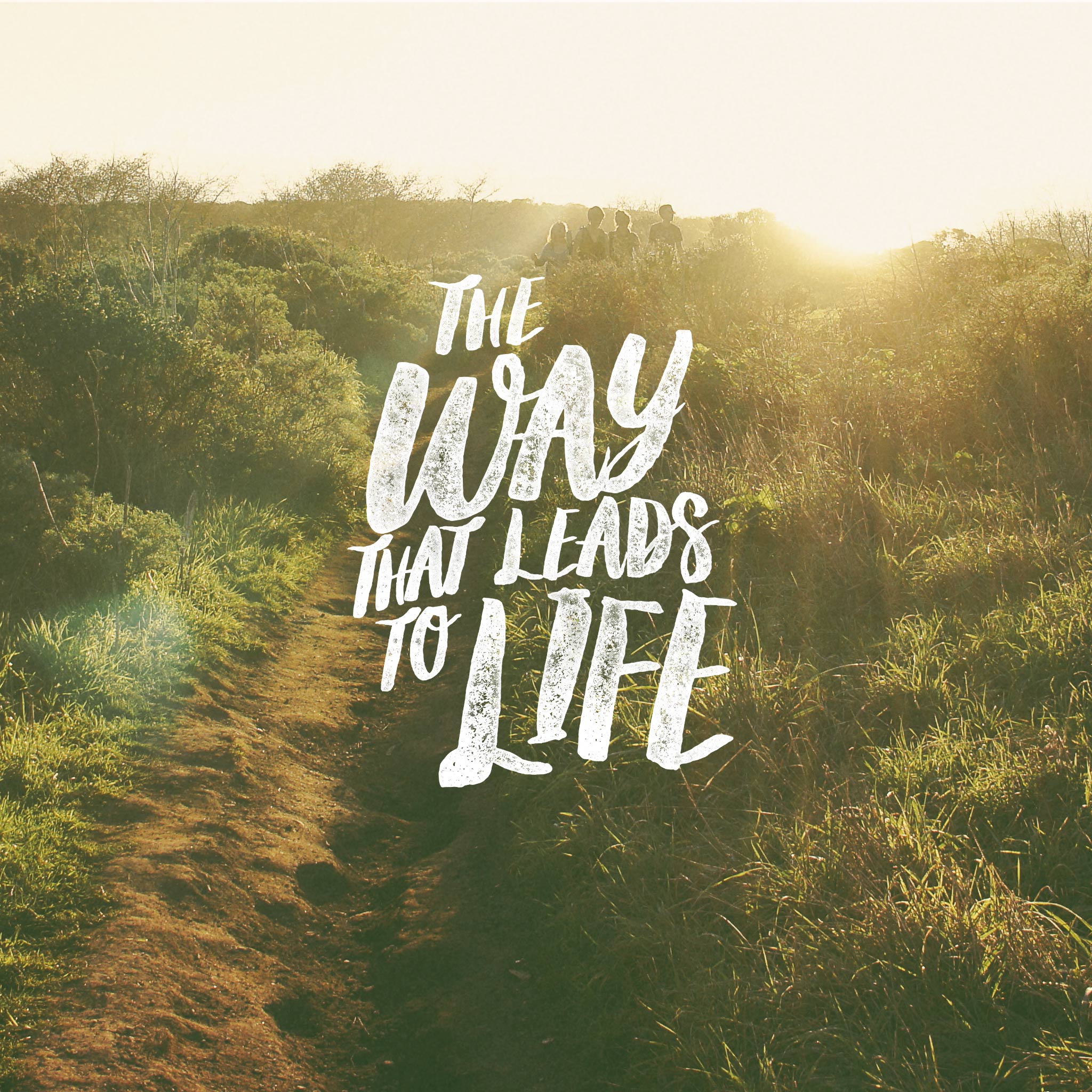 Travelled Less – Part 3