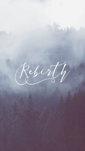 The Piece and Quiet Fear - Pocket Fuel Daily Devotional on John 3:3