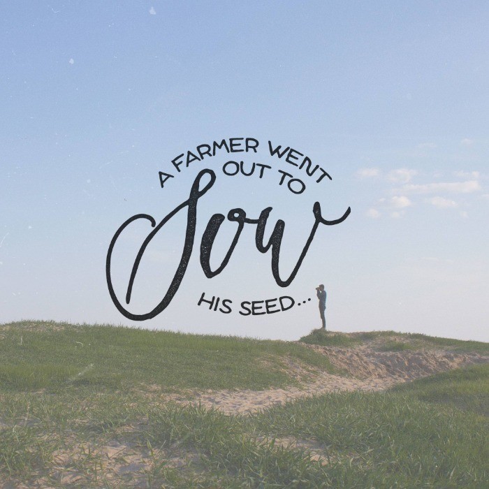 Thorns and Seeds – Part 4