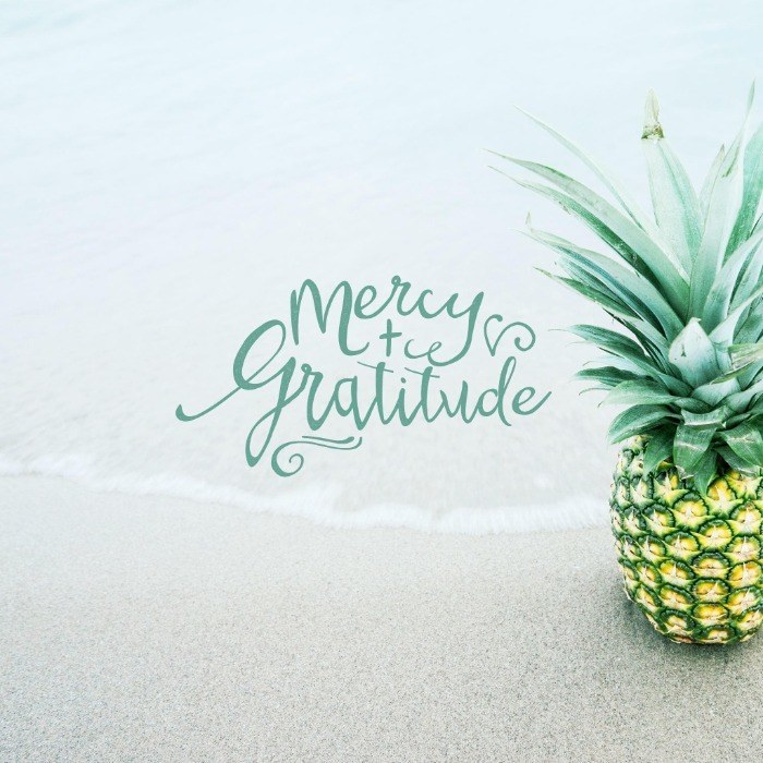 Gratitude Attitude – Part 4