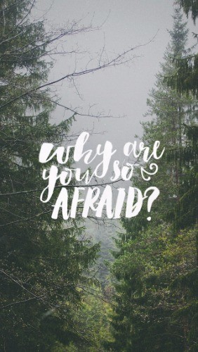 Pain, Snakes and Fear - Pocket Fuel Daily Devotional on Mark 4:40