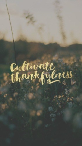 Someone Please Forgive - Pocket Fuel Daily Devotional on Colossians 3:15