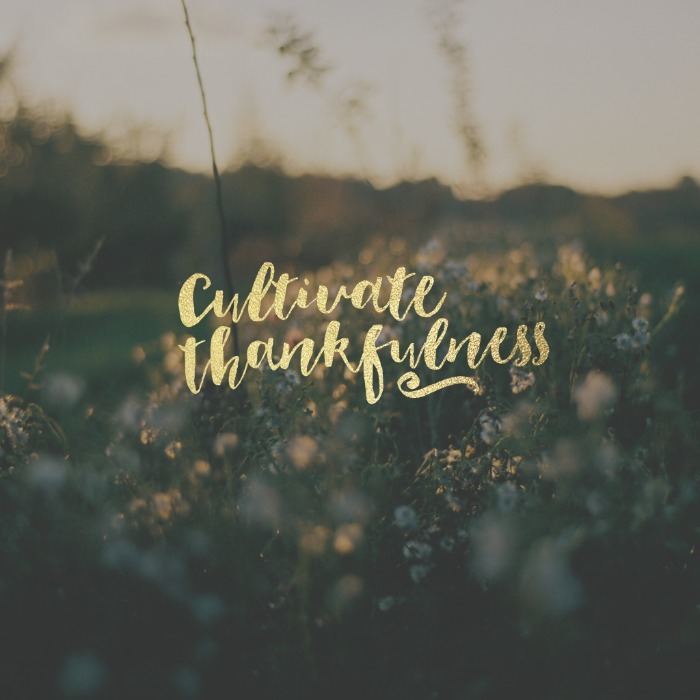 Someone Please Forgive – Part 8