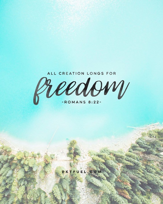 Eager Expectation - Pocket Fuel Christmas Devotion on Romans 8:22