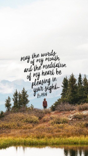 Pure and Pleasing - Pocket Fuel Daily Devotional on Psalm 19:14