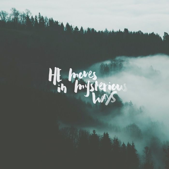 Mysterious Treasure – Part 3