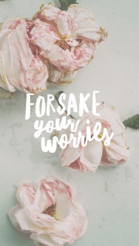 Passion In The Blood - Part 6 - Pocket Fuel Daily Devotional on Matthew 6:33