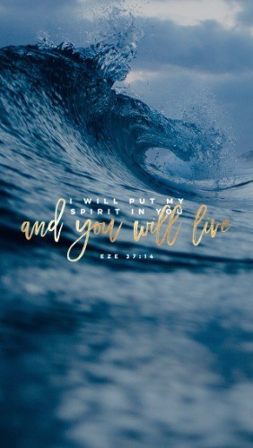 These Bones - Part 6 - Pocket Fuel Easter Daily Devotional on Ezekiel 37:3