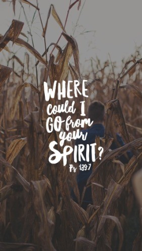 Where Could I Go From Your Spirit - Part 8 - Pocket Fuel Daily Devotional on Psalm 139:7
