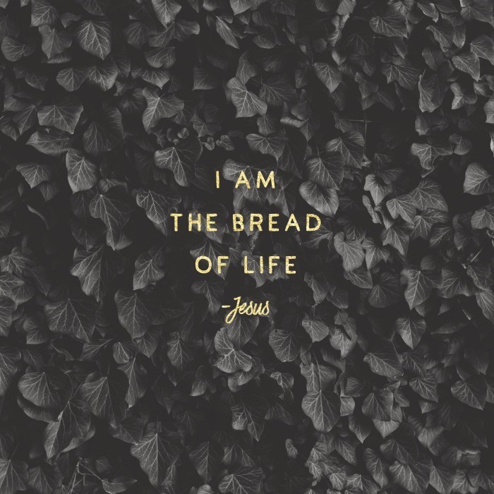 Fish and Loaves – The Meal Series – Part 3