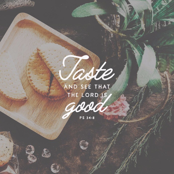 Hunger Games – The Meal Series – Part 4