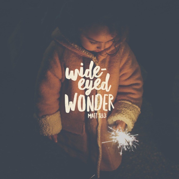 Wide Eyed Wonder – The Meal Series – Part 2