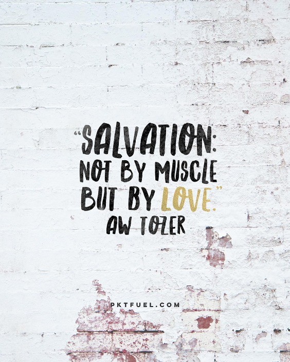 Birthright – Jacob Series – Part 1 - Pocket Fuel on Genesis 25:23