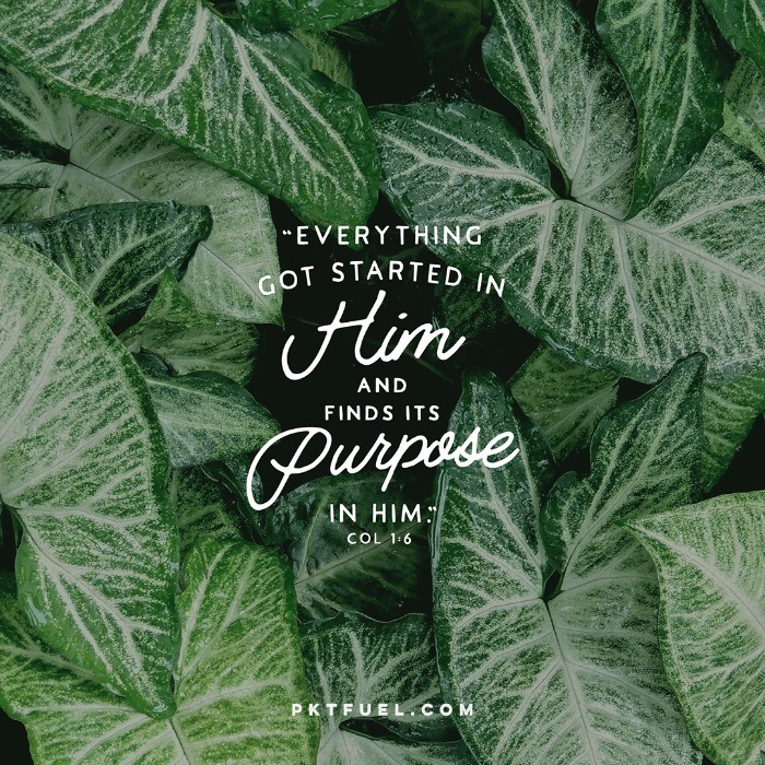 In Him – Thinking High Series – Part 5