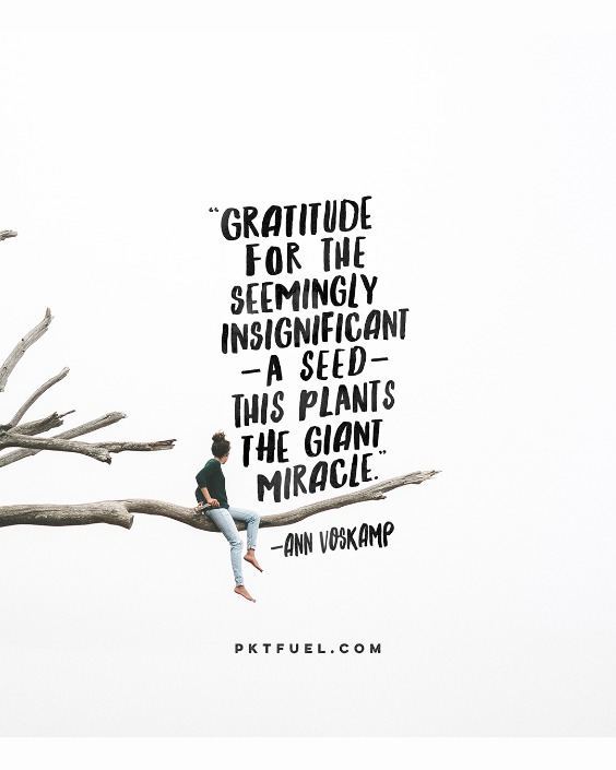 Plant Your Gift – The Seed Series – Part 7 - Pocket Fuel on Matt 13:31