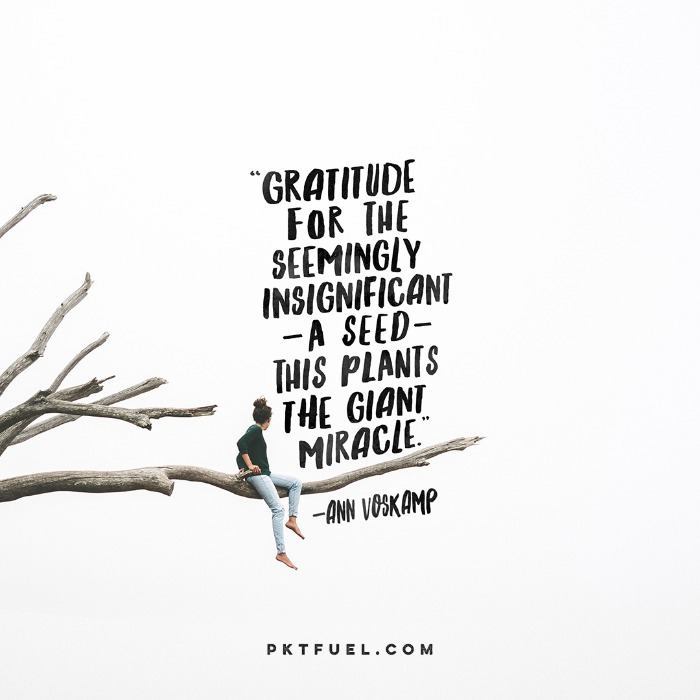 Plant Your Gift – The Seed Series – Part 7