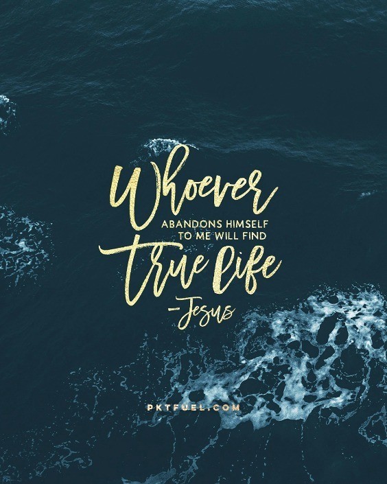 Planted – The Seed Series – Part 2 - Pocket Fuel on Matthew 13:31