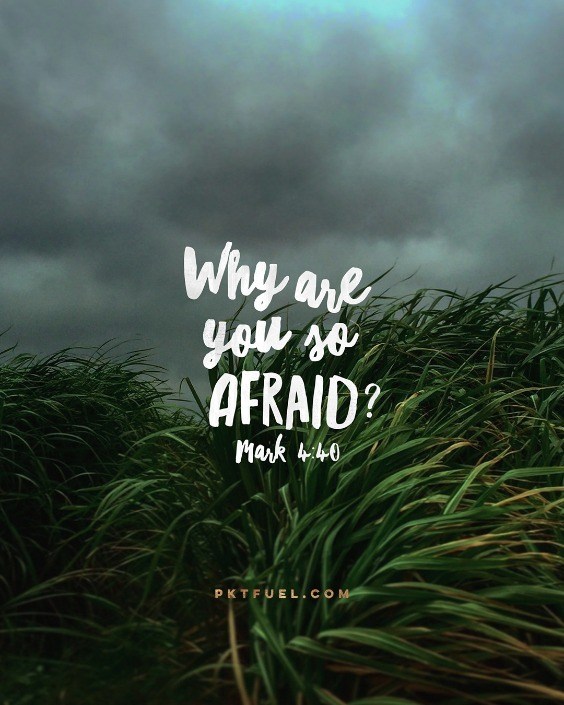 Afraid Much – Afraid Series – Part 1 - PktFuel.com