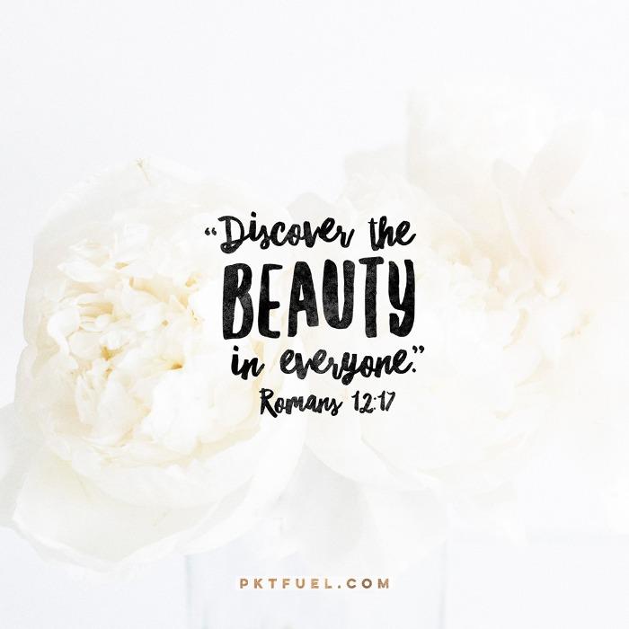 An Island – Connected Series – Part 3