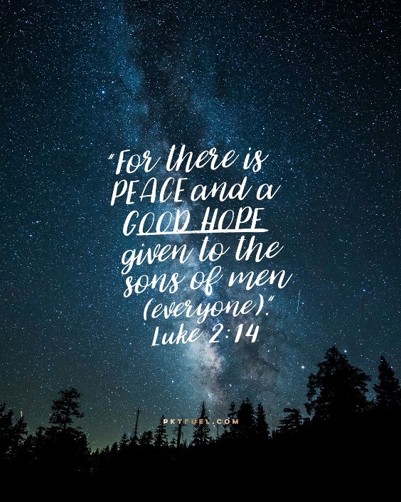 Whats Next Series – Part 1 - Pocket Fuel on Luke 2:14