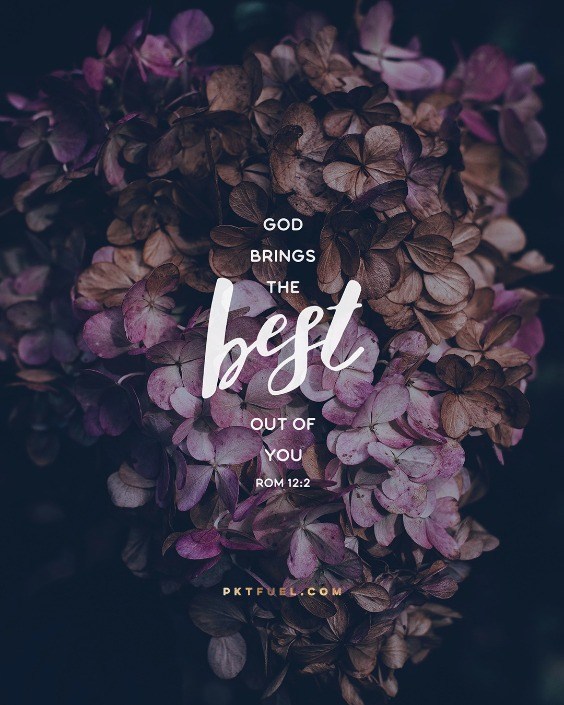 Invited Transformation – The Change Your Mind Series – Part 4 - Pocket Fuel on Romans 12:2