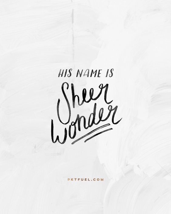 The Name of God – The Wonder and Grace Series – Part 3 - Pocket Fuel on Luke 1:49