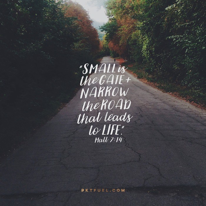 The Narrow Gate – The Roads and Gates Series – Part 1