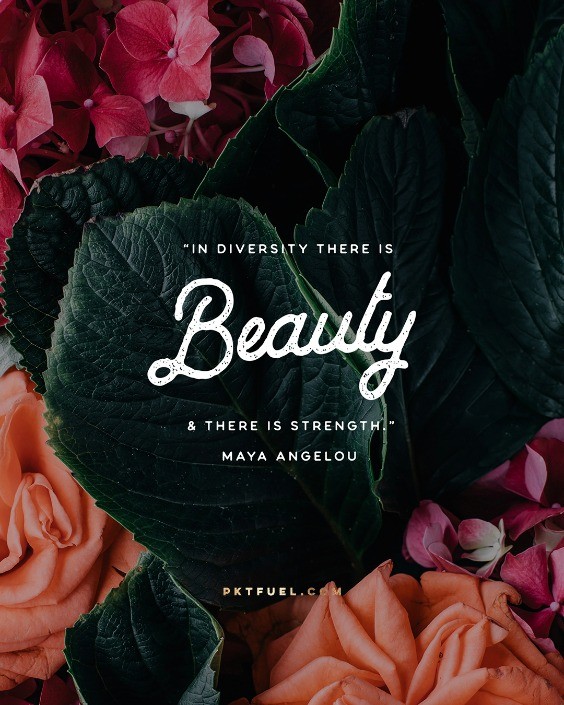 Country of Origin – The Perfect Blend Series – Part 1 - Pocket Fuel on 1 Corinthians 12:12