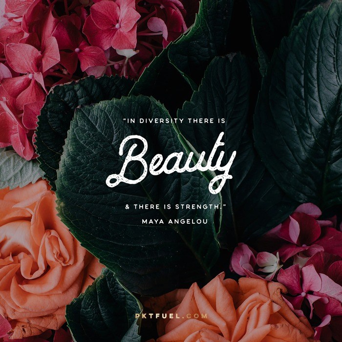 Country of Origin – The Perfect Blend Series – Part 1