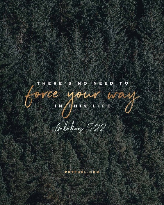 Grabs for Happiness – The Fruit Series – Part 4 - Pocket Fuel on Galatians 5:22