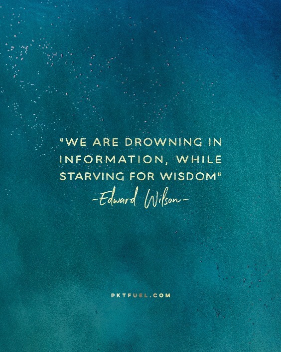 Start Living – The Making A Difference Series – Part 2 - Pocket Fuel on Colossians 2:7