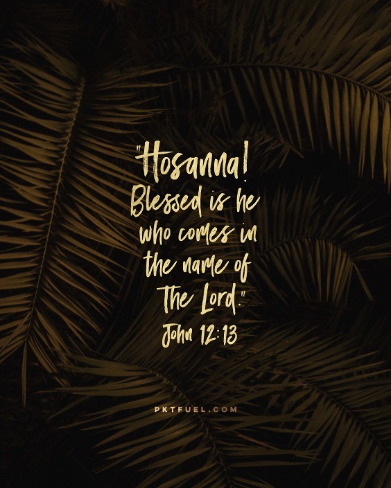 Blessed is He – The Holy Week Series - Part 1 - Pocket Fuel on John 12:13