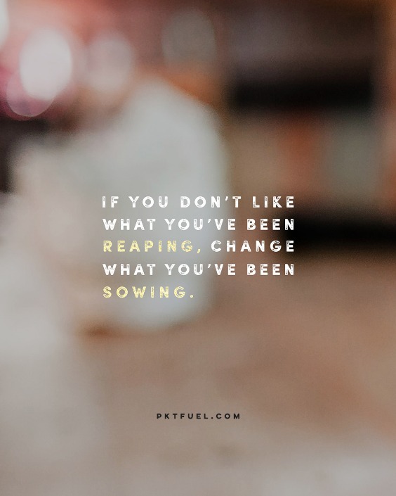 A True Reward – Proverb Ponderings – Part 3 - Pocket Fuel on Proverbs 11:8