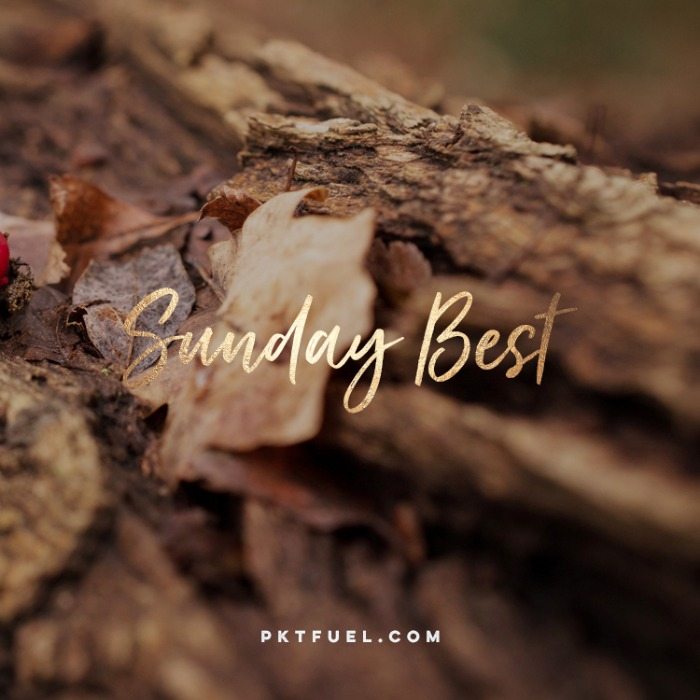 The Sunday Best – The psychology of Genesis, eating frogs and more