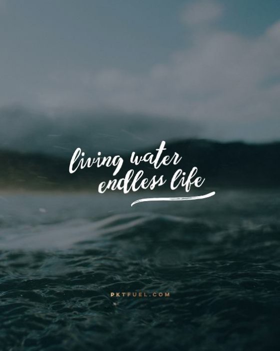 This Water – The Well Series – Part 4 - Pocket Fuel on ... - 560 x 700 jpeg 33kB