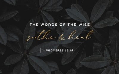 Words of the Wise – Words To Reclaim – Part 1