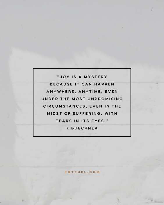 Joy is a Mystery – Finding Joy Series – Part 3 - Pocket Fuel on Psalm 16:11