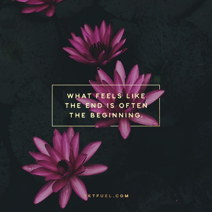 Sign Seekers – Signs Series – Part 4