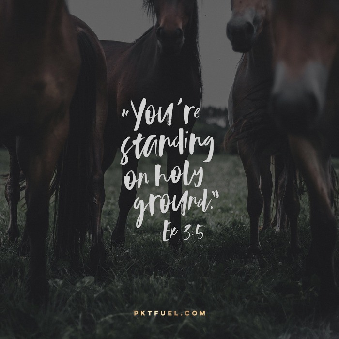 Take Off Your Sandals – Signs Series – Part 1